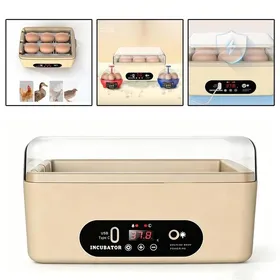 Meilleurs prix pour Couveuse Oeuf Automatique - pour 6 Oeufs - avec Lampe à Œuf - retournement automatique - Contrôle de Température - Incubateur
