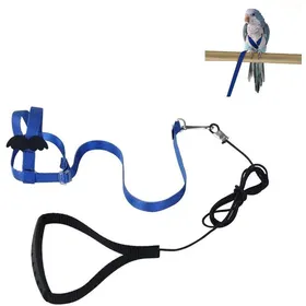 Meilleurs prix pour Harnais réglable pour perroquet - Harnais pour oiseau - Laisse pour oiseau - Harnais pour oiseaux - 1 pièce - bleu - XS - Convient