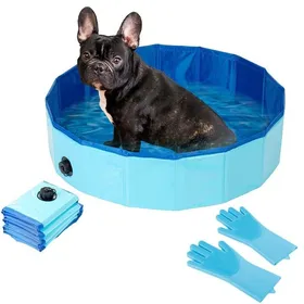 Comparer les prix de Piscine pour chienspiscine-UISAVE