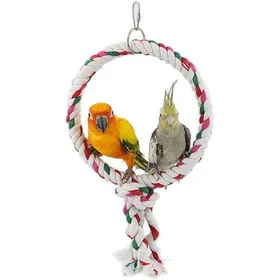 Meilleurs prix pour Jouet pour Oiseaux Perruche Anneau de Balançoire Perroquet Perchoir en Corde de Coton Parrot Jouets à Mâcher pour Conure