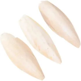 Comparer les prix de 6 Pices Oiseau Os De Seiche Jouet Mcher Os de Seiche Perroquet Cage Jouets Oiseau Morsure Jouet pour Perruches Ca JOUET A FRIANDISE