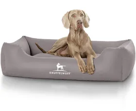 Meilleurs prix pour Knuffelwuff Sidney XXL, gris