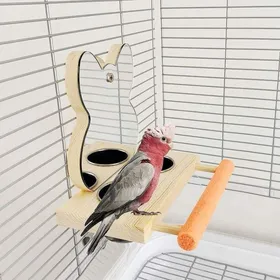 Comparer les prix de Support à oiseaux en bois avec miroir et bol en acier inoxydable, jouets pour perroquets, perruches, calopsittes, pinsons, tourt