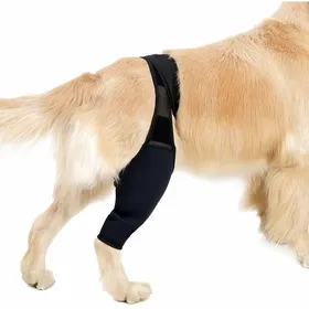 Comparer les prix de Attelle de soutien pour pattes avant et arrière pour chien, soulage la douleur après une entorse, XS