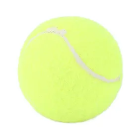 Meilleurs prix pour Jouet pour chien de compagnie balle robuste non toxique résistante aux rayures tennis interactif pour animaux de compagnie pour