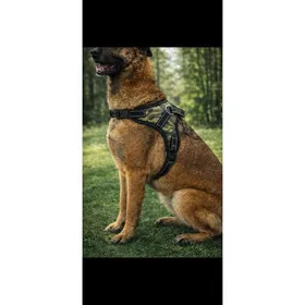 Meilleurs prix pour Harnais pour  Chien XL (Buste 72-91cm)  Respirant et Réfléchissant – Réglable Anti-Traction Anti-Étranglement avec Poignée