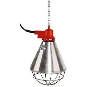 Meilleurs prix pour Lampe Chauffante Infrarouge - 1 Unité - Aluminium - 3 Positions - Pour Chiot Chaton - Gris Rouge MICRODERMABRASION
