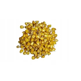 Comparer les prix de Grains de maïs prêts à lemploi TTCarp 1 kg