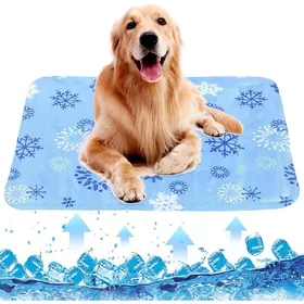 Meilleurs prix pour Tapis Rafraîchissant Chien Chat Auto-Refroidissant Tapis Frais pour Animaux 30x40 cm pour Cage Lit et Chenil