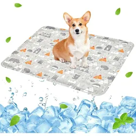 Meilleurs prix pour Tapis Rafraîchissant Chien Chat 40x50 cm Tapis de Refroidissement à Gel Non Toxique pour Canapé Sol et Chenil Gris