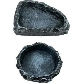 Meilleurs prix pour Lot de 2 petits bols de nourriture pour reptiles - Gamelle pour nourriture pour dragon barbu - Gamelle pour terrarium