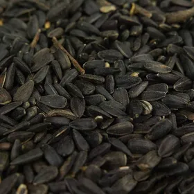 Comparer les prix de Graines de tournesol noir BusyBeaks - nourriture riche en huile pour oiseaux sauvages de jardin occupés.(10kg)
