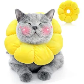 Meilleurs prix pour Collier réglable chat Collier anti-léchage Collier de protection chat après chirurgie Collier de récupération animal de