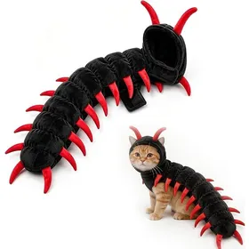 Meilleurs prix pour Déguisement Chat Halloween Mille-Pattes  Costume Rigolo avec Pattes Qui Bougent  Photo Fête Garantie #R rouge JOUET A FRIANDISE