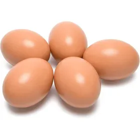 Meilleurs prix pour 5 œufs en bois pour poules forme réaliste et poids adapté œufs artificiels pour volaille outil d’accompagnement de la .