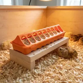 Meilleurs prix pour Mangeoire linéaire à trous plastique 30 cm poussins et cailles - Orange GAUN GAUN