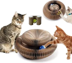 Meilleurs prix pour Planche à gratter pour chat, Planche à gratter pour chat Magic Organ, Planche à gratter pour chat 2 en 1 avec cloche, Pliable