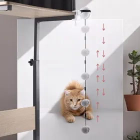 Comparer les prix de Jeu Interactif Pour Chat - The Concept Factory - Chatscenseur - Vissable - Blanc