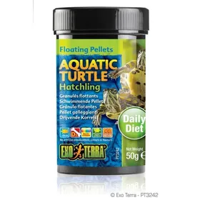 Meilleurs prix pour Stick pour tortue aquatique bébé 50 g
