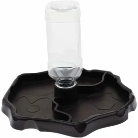 Meilleurs prix pour Distributeur dEau Portable avec Plat en Plastique pour Reptiles Tortues et Geckos YYV