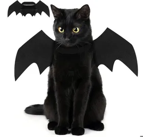 Meilleurs prix pour Costume de chauve-souris costume dHalloween avec ailes de chauve-souris pour chat