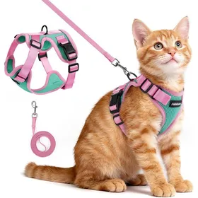 Meilleurs prix pour Rabbitgoo Harnais Chat Laisse Pour Chat Harnais Pour Petit Chien Souple et Réglable Veste Bandes Réfléchissantes Vert et Rose XS