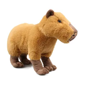 Meilleurs prix pour Peluche réaliste de Capybara jouet en peluche de simulation de Capybara jouet doux et mignon pour rongeur animal sauvage