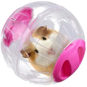 Meilleurs prix pour Boule dexercice - Non spécifié - Hamster - Rose - Plastique - 12 cm-keeper