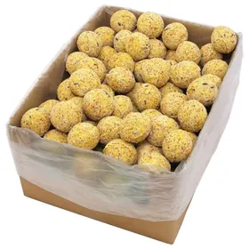 Comparer les prix de Lemon Boules de graisse doiseau 200 pcs 90 g CCL64189215