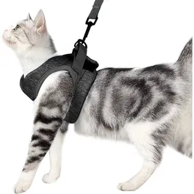 Comparer les prix de Harnais laisse chat 360° anti-évasion petits chiens tissu cationique Label