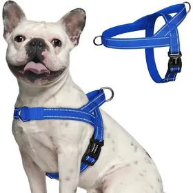 Comparer les prix de rabbitgoo Harnais Chien Anti Traction harnais pour petit chien Facile à Mettre Harnais Réglable avec Attache Devant M Bleu
