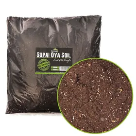 Meilleurs prix pour Substrat naturel et absorbant pour terrarium de tortues 6 L
