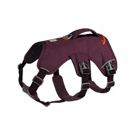Meilleurs prix pour Harnais pour chien Ruffwear Web Master - Violet - XS
