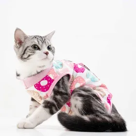 Comparer les prix de Combinaison post-opératoire chat plaie peau alternative collerette respirante