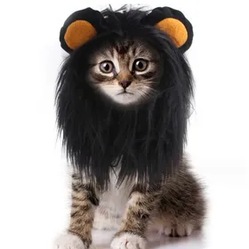 Comparer les prix de Costumes dHalloween pour chat - Perruque à crinière de lion noire Costumes pour animaux de compagnie Chapeau pour Halloween Noël