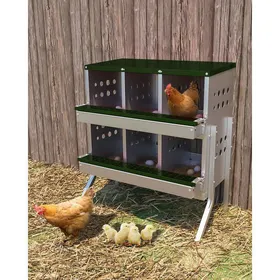 Meilleurs prix pour Pondoir pour Poules Nichoirs sur pied 6 cases avec perchoir antirouille et œufs factices. Parfait pour poulailler extérieur-Vert