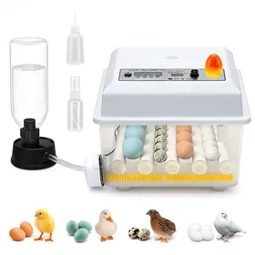 Meilleurs prix pour Incubateur doeufs Automatique 12-16 Oeufs Couveuse avec Contrôle de Température Rouleaux Réglables Ajout dEau Automatique