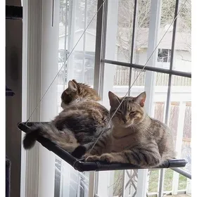 Comparer les prix de Hamac Chat fenetre，pour Grands Chats jusquà 20 kg，Bain de Soleil，Lit pour Animaux de Compagnie，pour Grandes fenêtre