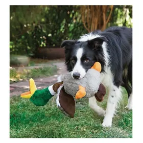 Meilleurs prix pour Jeu Kong pour chien Honkers Canard