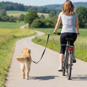 Comparer les prix de Laisse de Vélo pour Chien 180 cm en Inox  Fixation Rapide Ressort Amortisseur Sangle Ajustable Argent