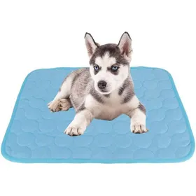 Meilleurs prix pour Matelas rafraîchissant dété pour animaux de compagnie (XL)