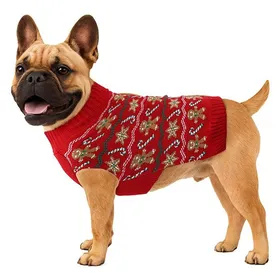 Meilleurs prix pour Pull de Noël en pain dépice pour chiens