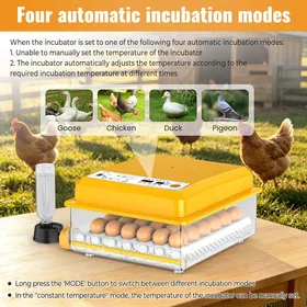 Meilleurs prix pour Couveuse Oeuf Automatique 36 œufs - Contrôle de température ajout deau retournement automatique - Double électrique