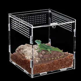 Comparer les prix de Terrarium Phasm Terrarium Snail Insect Feeding Box Reptile Breeding Box Terrariums Acrylic Transparent Terrariums for