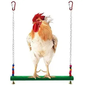 Comparer les prix de Balançoire pour poules et oiseaux – jouet en perroquet ara poules avec échelle et balançoire pour enrichissement en cage. Label