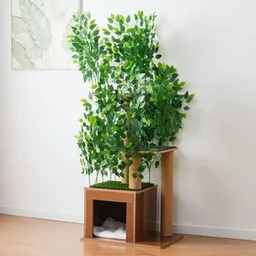 Meilleurs prix pour Arbre à chat design arbre - 60x45x158 cm - 3 plateformes et niche - MDF et feuilles amovibles - Vert