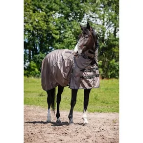 Meilleurs prix pour Couverture dextérieur pour cheval adaptation standard au cou HorseGuard 600D 200g - Beige - 145 cm