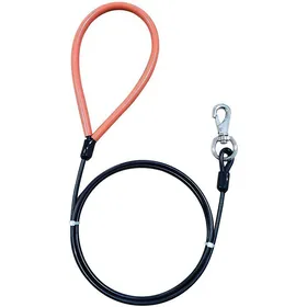 Meilleurs prix pour Laisse robuste pour chien en métal résistant aux morsures pour grands chiens (jusquà 113 kg) en fil de fer de 3 mètres avec