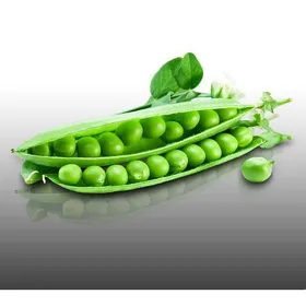 Comparer les prix de Mélange de graines - Le Grenier dAbondance - Semis de Mars - Fèves et Pois - 450g - 6 sachets individuels