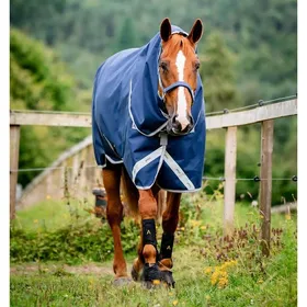 Meilleurs prix pour Couverture dextérieur pour cheval avec couvre-cou Horseware Amigo 1200D Plus Turnout 250g - Bleu - 130 cm